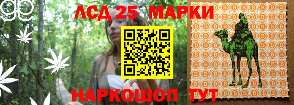 Наркотические марки 1500мкг Сунжа