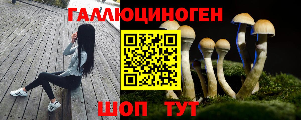 Галлюциногенные грибы мицелий Сунжа